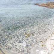 ヒメ日記 2025/10/18 10:08 投稿 てるみ 待ちナビ