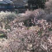 ヒメ日記 2026/02/23 18:05 投稿 てるみ 待ちナビ