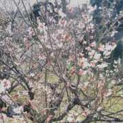 ヒメ日記 2026/02/27 09:55 投稿 てるみ 待ちナビ