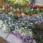 ヒメ日記 2026/04/02 12:15 投稿 てるみ 待ちナビ