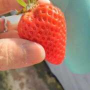 ヒメ日記 2026/04/13 08:14 投稿 てるみ 待ちナビ