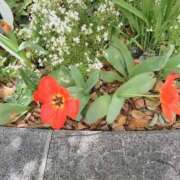 てるみ 博多駅近くいますよ 待ちナビ