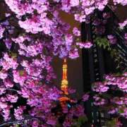 ヒメ日記 2026/03/09 20:29 投稿 桐葉りそら Mrs. Dandy shinagawa