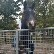 ヒメ日記 2025/10/27 06:45 投稿 皇　いぶき ホットポイントヴィラ