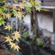 ヒメ日記 2025/12/04 18:37 投稿 皇　いぶき ホットポイントヴィラ