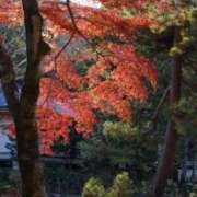 ヒメ日記 2025/12/08 20:07 投稿 皇　いぶき ホットポイントヴィラ