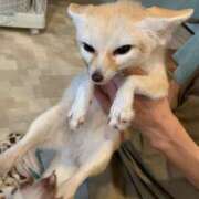 ヒメ日記 2025/10/07 15:00 投稿 レム ドMな奥さん 日本橋店