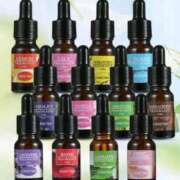 ヒメ日記 2025/11/04 13:36 投稿 カイ 札幌★出張マッサージ委員会