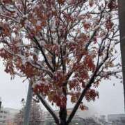 ヒメ日記 2025/11/10 11:36 投稿 カイ 札幌★出張マッサージ委員会