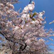 ヒメ日記 2026/04/25 13:10 投稿 カイ 札幌★出張マッサージ委員会