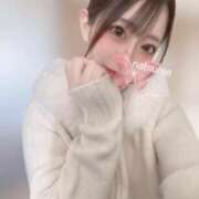 ヒメ日記 2025/10/08 16:18 投稿 ナツメ OLの品格 クラブアッシュ