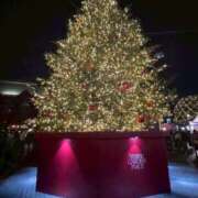 ヒメ日記 2025/12/10 21:21 投稿 桐葉りそら Mrs. Dandy Yokohama