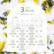 ヒメ日記 2026/02/19 16:02 投稿 桐生　蘭華 白夜