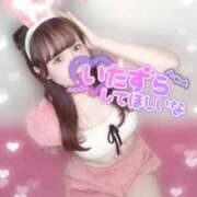 ヒメ日記 2025/10/12 12:20 投稿 あみ イキなり生彼女from大宮