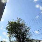 ヒメ日記 2025/10/17 11:20 投稿 あみ イキなり生彼女from大宮