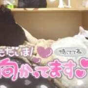 ヒメ日記 2025/10/20 01:20 投稿 あみ イキなり生彼女from大宮