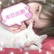 ヒメ日記 2025/11/05 12:20 投稿 あみ イキなり生彼女from大宮