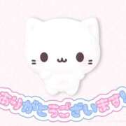 ヒメ日記 2025/09/12 14:35 投稿 もふ コンカフェ×オナクラ あいこねくと