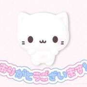 ヒメ日記 2025/09/14 00:27 投稿 もふ コンカフェ×オナクラ あいこねくと