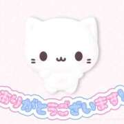 ヒメ日記 2025/09/25 20:33 投稿 もふ コンカフェ×オナクラ あいこねくと