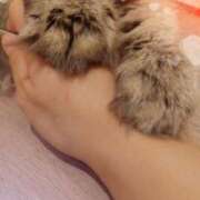 ヒメ日記 2025/10/04 01:11 投稿 ここあ トマトなび