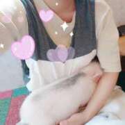 ヒメ日記 2025/10/14 15:37 投稿 ここあ トマトなび