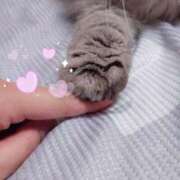 ヒメ日記 2025/11/26 22:35 投稿 ここあ トマトなび