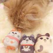 ヒメ日記 2025/11/30 07:16 投稿 ここあ トマトなび