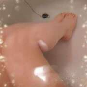 ヒメ日記 2025/12/16 23:49 投稿 ここあ トマトなび