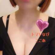 ヒメ日記 2025/12/21 15:31 投稿 ここあ トマトなび