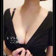 ヒメ日記 2025/12/26 16:04 投稿 ここあ トマトなび