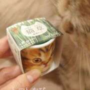 ヒメ日記 2025/12/26 17:15 投稿 ここあ トマトなび