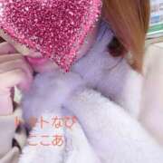 ヒメ日記 2025/12/27 17:56 投稿 ここあ トマトなび