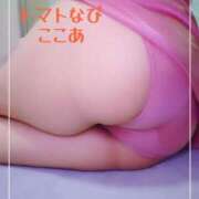 ヒメ日記 2026/01/06 22:30 投稿 ここあ トマトなび