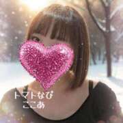 ヒメ日記 2026/01/11 15:34 投稿 ここあ トマトなび