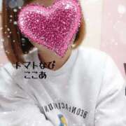 ヒメ日記 2026/01/12 23:37 投稿 ここあ トマトなび