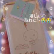 ヒメ日記 2026/01/19 16:43 投稿 ここあ トマトなび