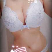 ヒメ日記 2026/01/26 09:15 投稿 ここあ トマトなび