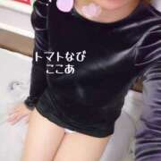 ヒメ日記 2026/01/31 19:52 投稿 ここあ トマトなび