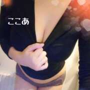 ヒメ日記 2026/02/04 23:27 投稿 ここあ トマトなび