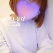 ヒメ日記 2026/02/05 15:33 投稿 ここあ トマトなび