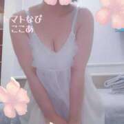 ヒメ日記 2026/02/06 15:34 投稿 ここあ トマトなび