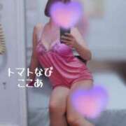ヒメ日記 2026/02/13 21:17 投稿 ここあ トマトなび