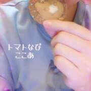 ヒメ日記 2026/03/14 15:32 投稿 ここあ トマトなび