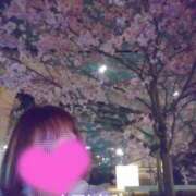 ヒメ日記 2026/03/23 15:01 投稿 ここあ トマトなび