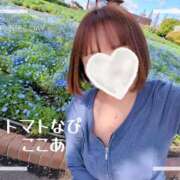 ヒメ日記 2026/03/28 23:01 投稿 ここあ トマトなび