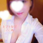 ヒメ日記 2026/04/04 11:45 投稿 ここあ トマトなび