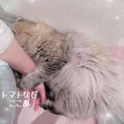 ヒメ日記 2026/04/30 15:53 投稿 ここあ トマトなび