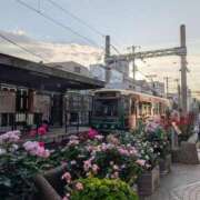 ヒメ日記 2026/05/09 21:32 投稿 ここあ トマトなび