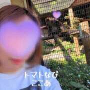 ヒメ日記 2026/05/13 18:42 投稿 ここあ トマトなび